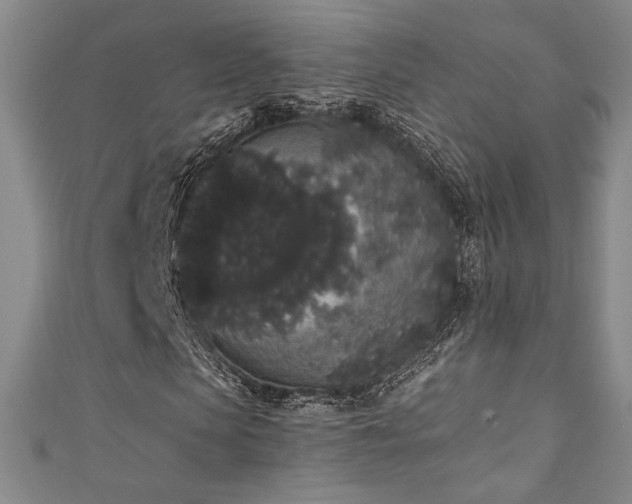 X0000111830913200907231314