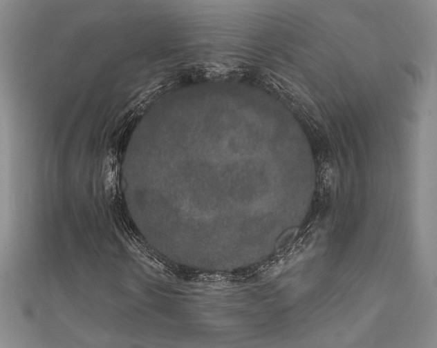 X0000111830914200907231314
