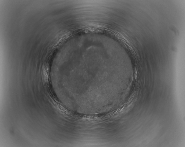 X0000111830915200907231314