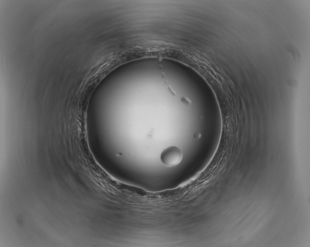 X0000111830916200907231314
