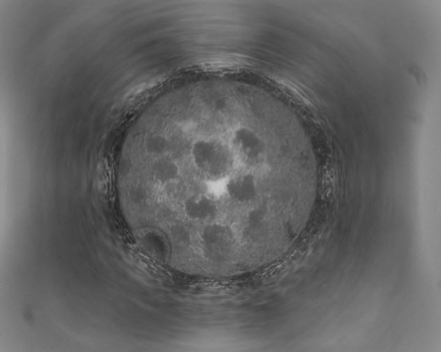 X0000111830917200907231314