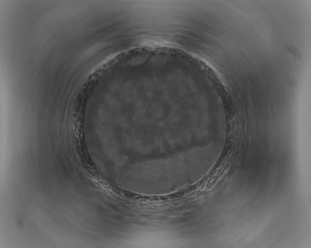 X0000111830919200907231314