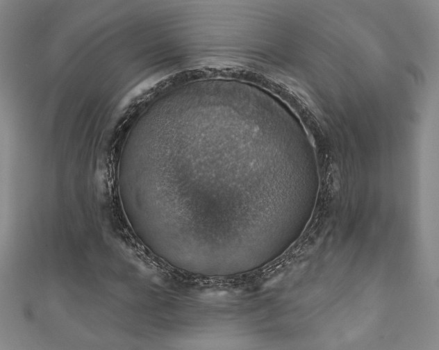 X0000111830920200907231314
