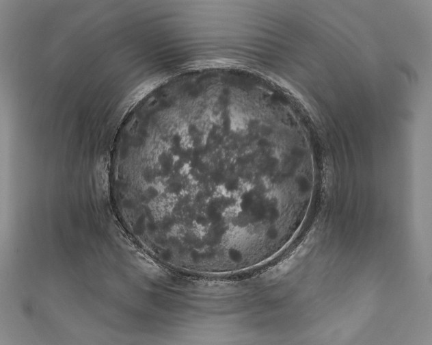 X0000111830921200907231314