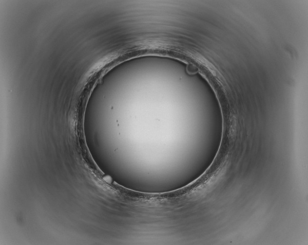 X0000111830922200907231314