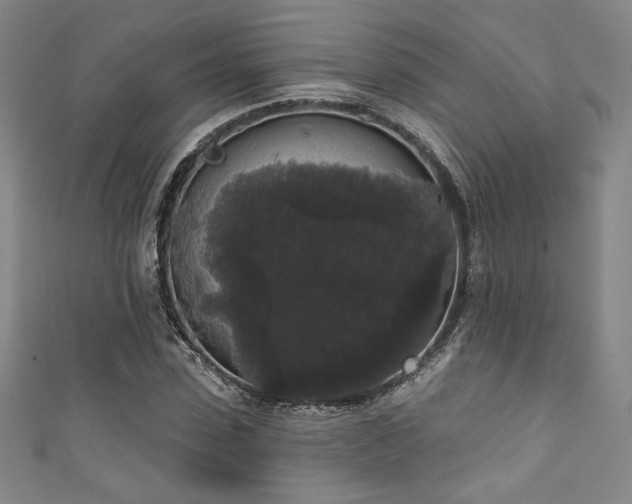 X0000111830923200907231314