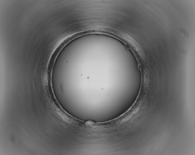 X0000111830924200907231314
