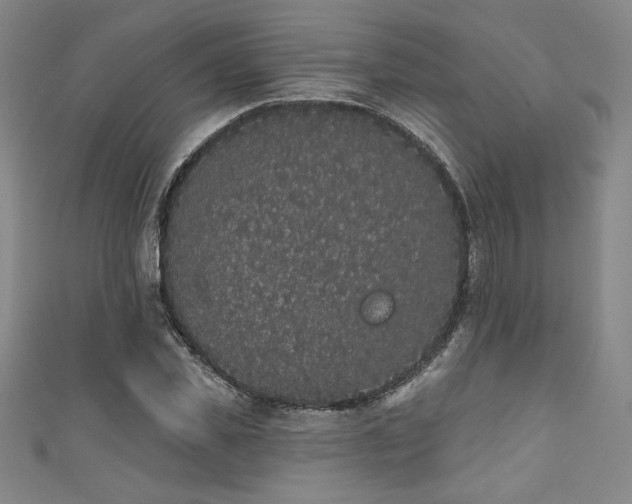 X0000111830925200907231314