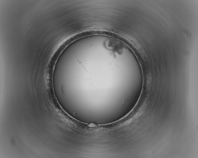 X0000111830926200907231314