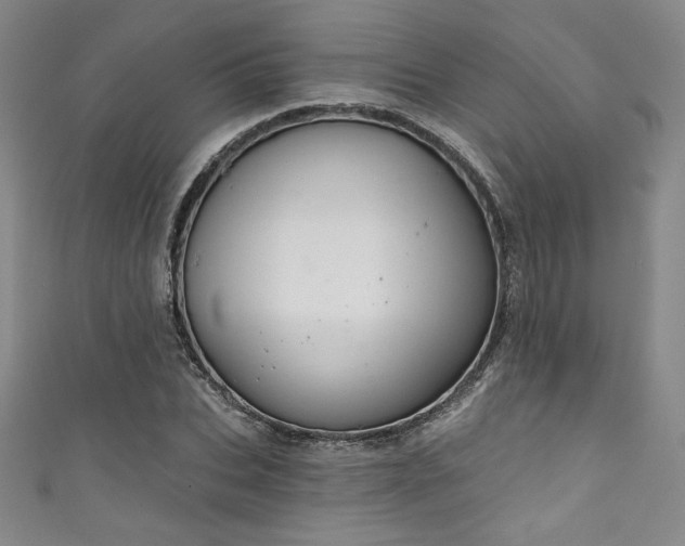 X0000111830927200907231314