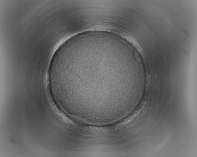 X0000111830928200907231314