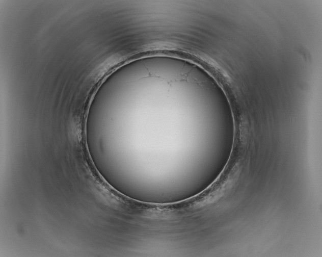 X0000111830929200907231314