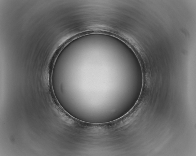 X0000111830931200907231314