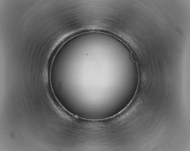 X0000111830934200907231314