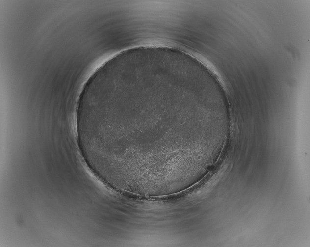X0000111830935200907231314