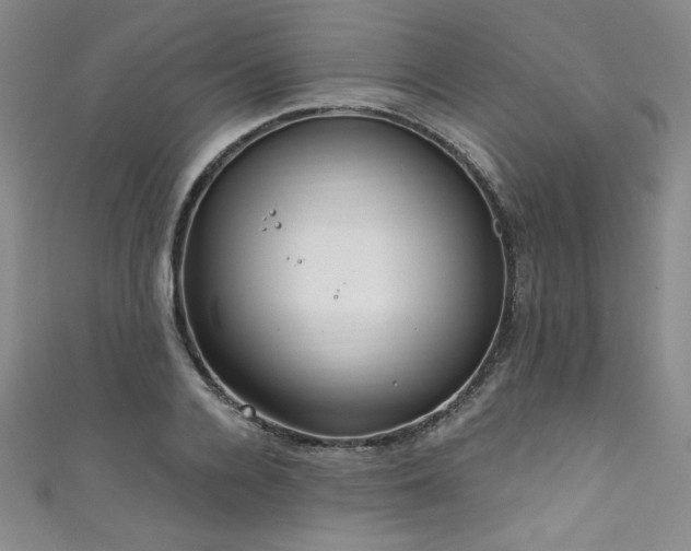 X0000111830936200907231314