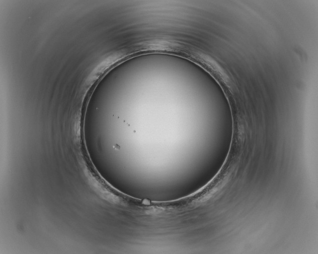X0000111830938200907231314