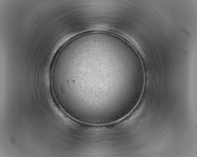 X0000111830939200907231314