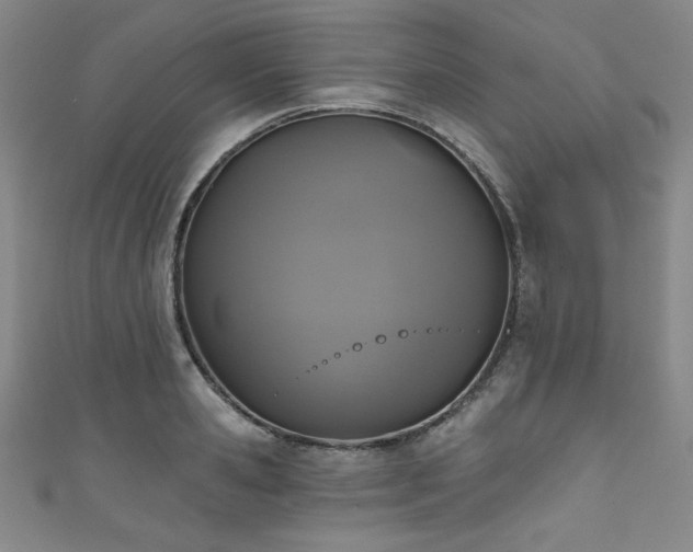 X0000111830941200907231314