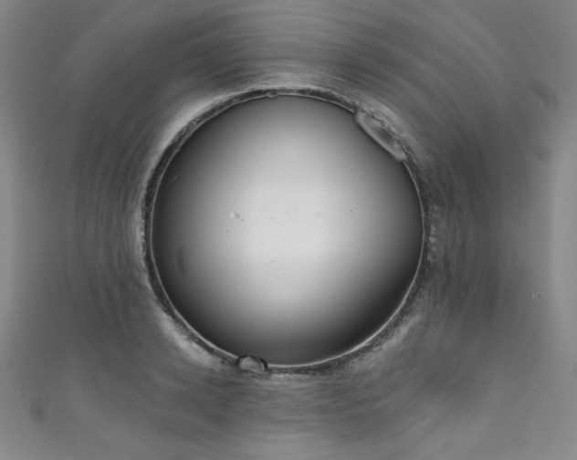 X0000111830942200907231314