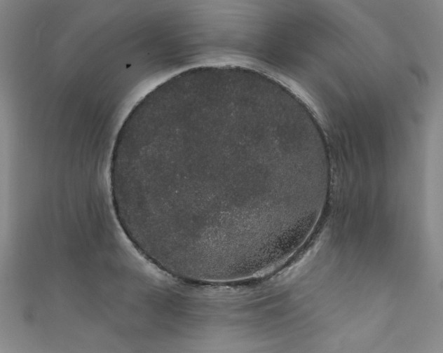 X0000111830943200907231314