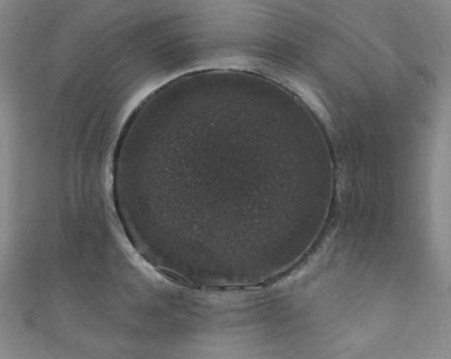 X0000111830944200907231314