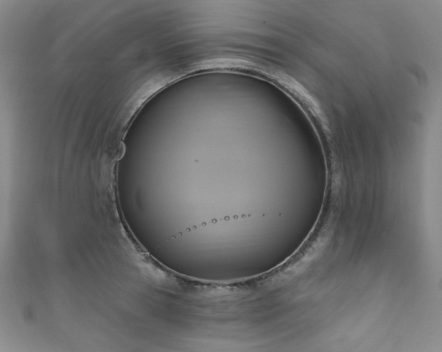 X0000111830945200907231314