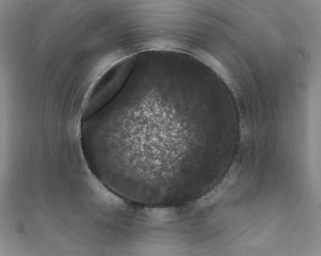 X0000111830946200907231314