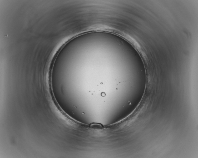 X0000111830947200907231314