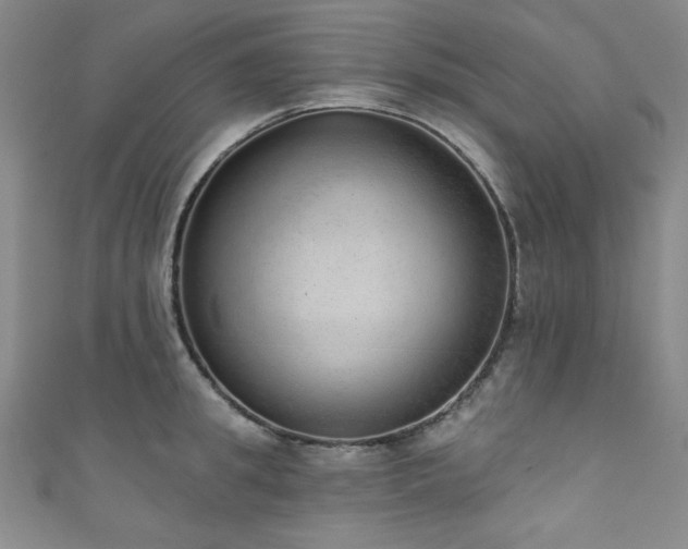 X0000111830949200907231314