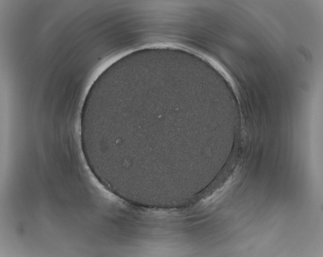 X0000111830951200907231314