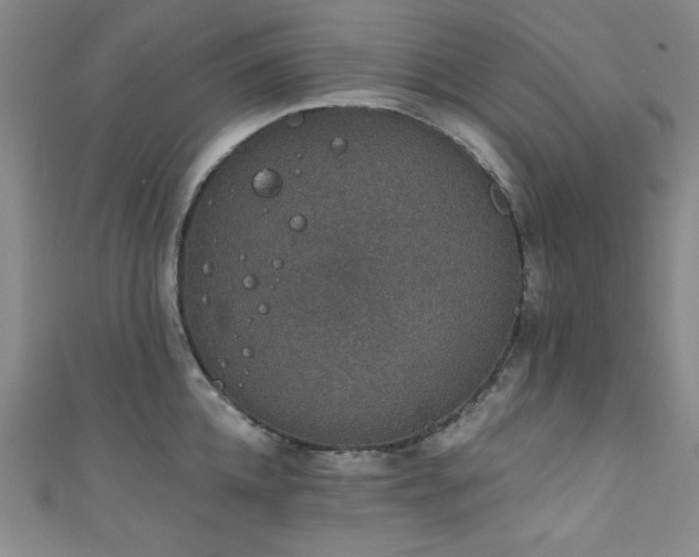 X0000111830952200907231314