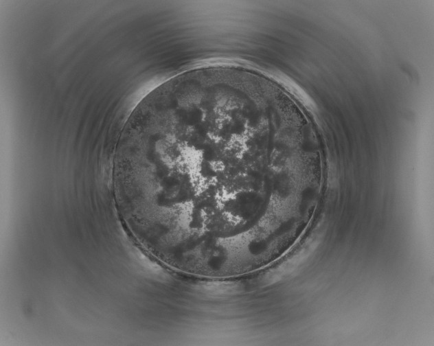X0000111830953200907231314