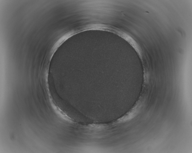 X0000111830954200907231314