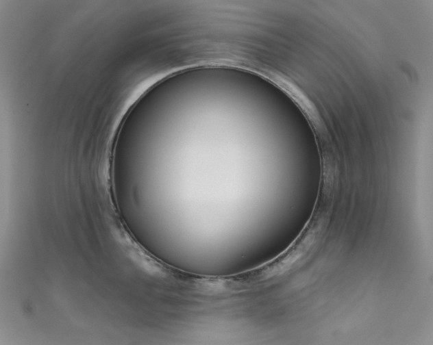 X0000111830956200907231314