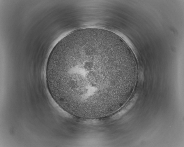 X0000111830957200907231314
