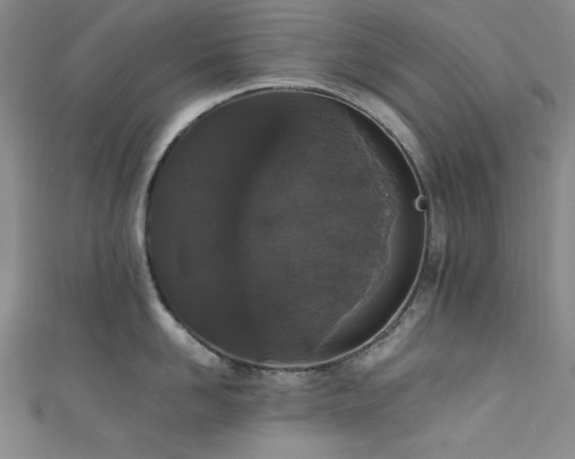 X0000111830958200907231314