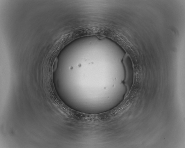 X0000111830961200907231314