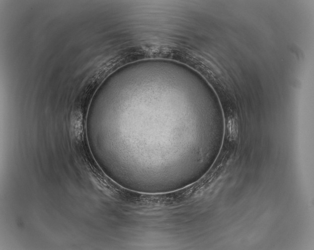 X0000111830963200907231314