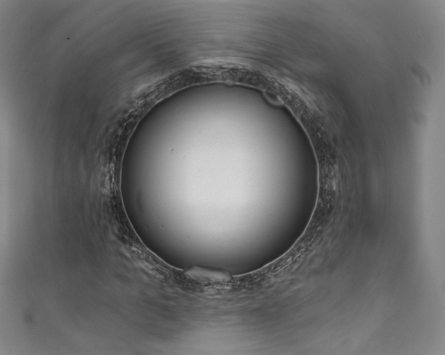 X0000111830965200907231313