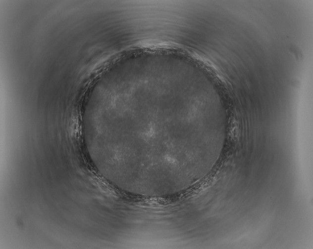 X0000111830966200907231313