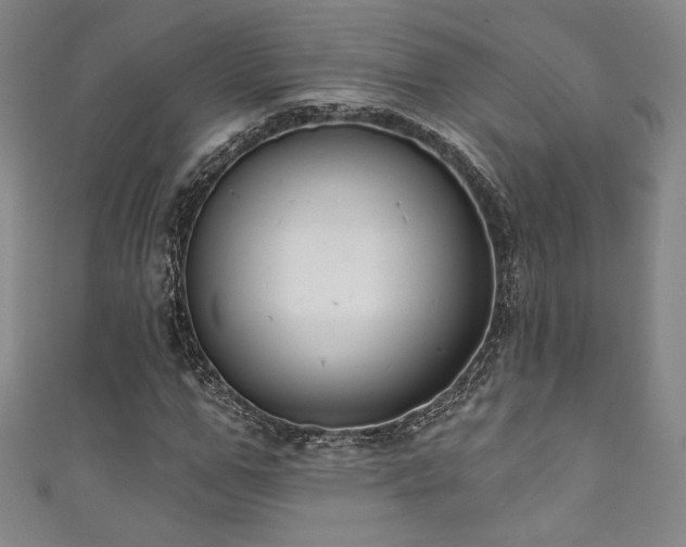 X0000111830967200907231313