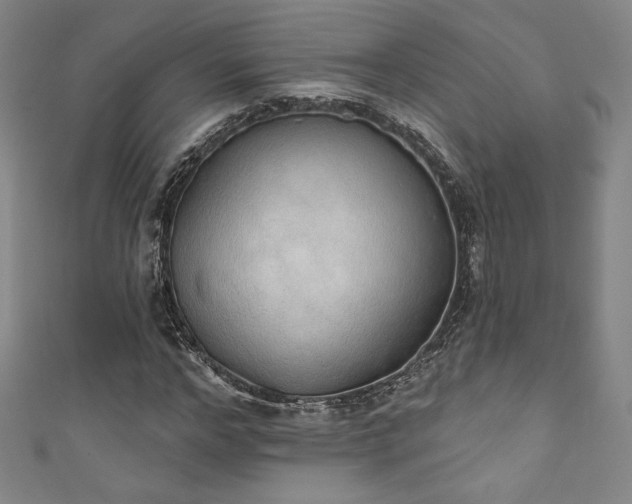 X0000111830968200907231313