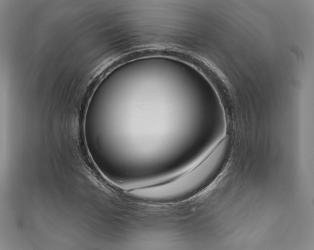 X0000111830969200907231313