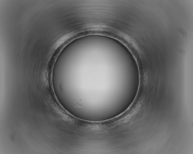 X0000111830970200907231313