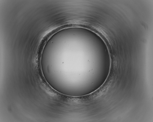X0000111830971200907231313