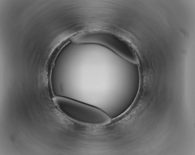 X0000111830973200907231313