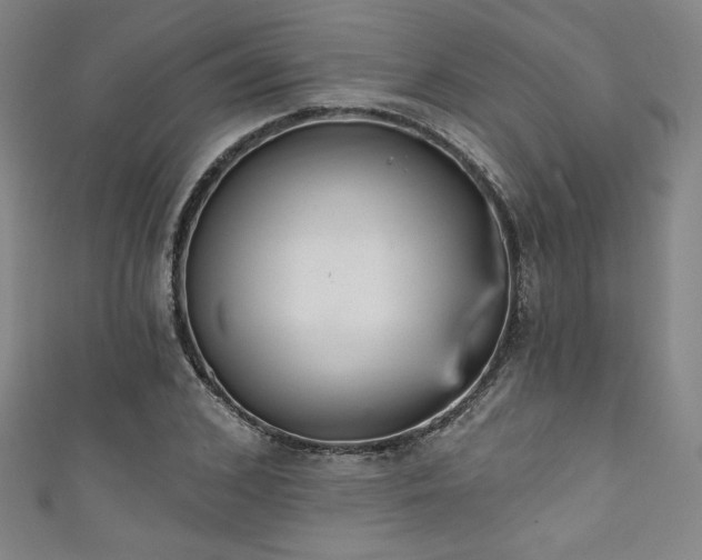 X0000111830976200907231313