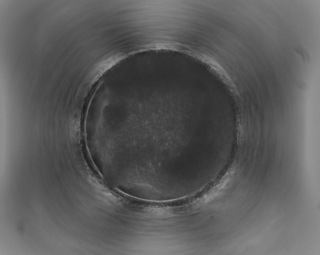 X0000111830977200907231313
