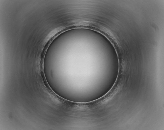 X0000111830978200907231313